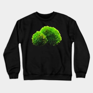 Green Moss Balls Crewneck Sweatshirt